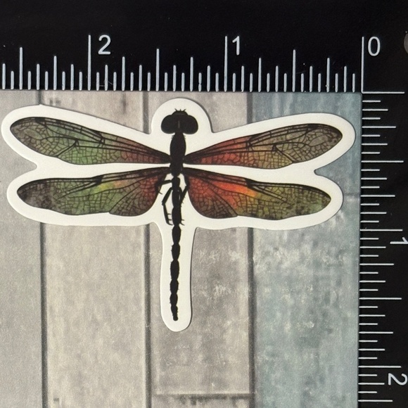 ๐10/$10๐ Dragonfly Reusable Waterproof Sticker Decal - Picture 1 of 1